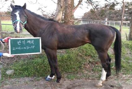 ĭ������ ����