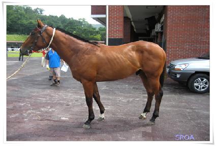 ��ũ������ ����