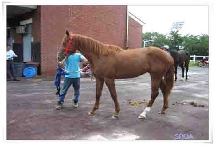 ��� ����