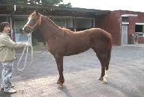 �۶��̵��ũ (GLIDE MILK) ����