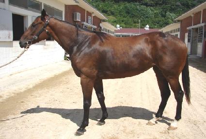 ���������� ����