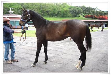 �����η���ũ ����