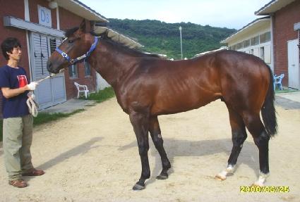 �������� ����