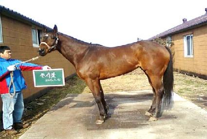 õ���� ����