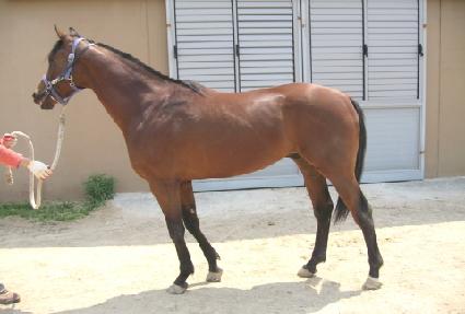 õ����� ����