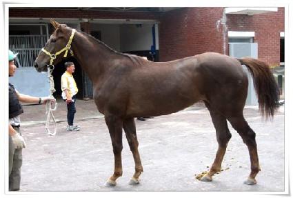 ������������ ����