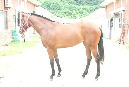 ��������� ����