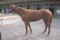 �ۼ����̵� (ABSALIDE) ����