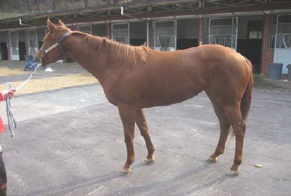 �ۼ����̵� ����