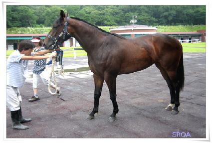 �߱� ����