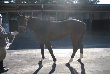 ���ǵ帶�� ����