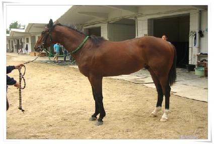 ���ϸ��� ����