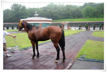 ����� ����