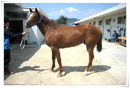 ��������� ����