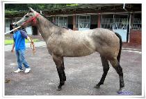 ��� (YONGU) ����