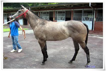 ��� ����