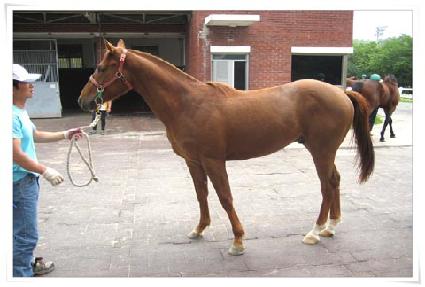 ��ĸƾ ����