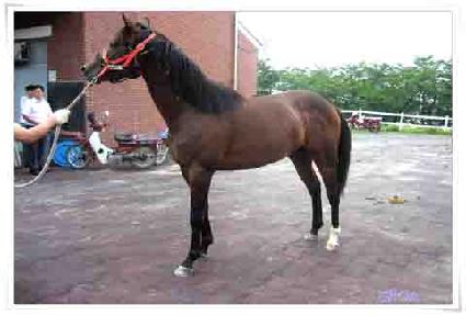 �ٴٽ� ����