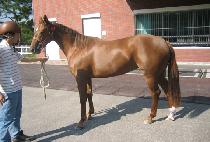 ȯ������ (HWANSANG CHUKJE) ����