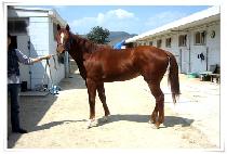 ���˵���Ƽ (WEEKEND PARTY) ����