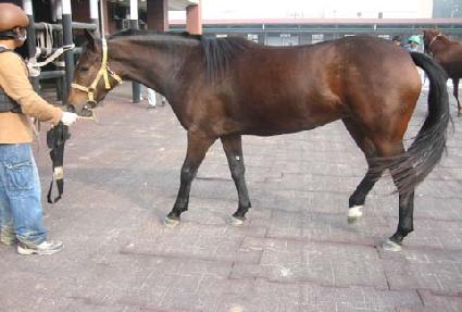 õ������ ����