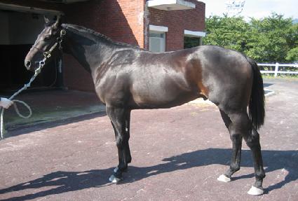 �ż��� ����