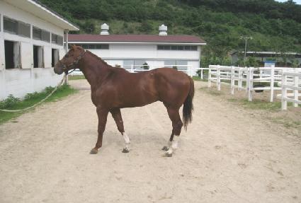 �´����̽� ����