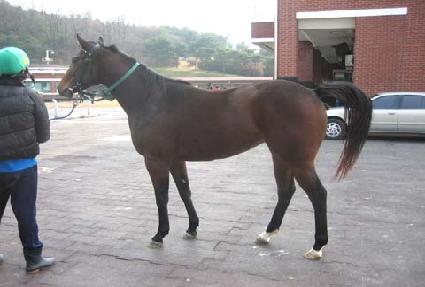 ĥ������ ����