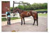 �¸��� (GOOD LEADER) ����