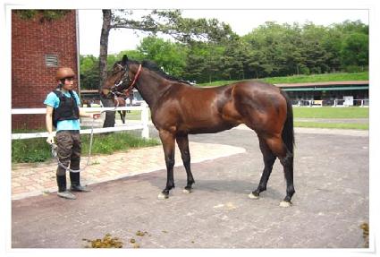 �¸��� ����