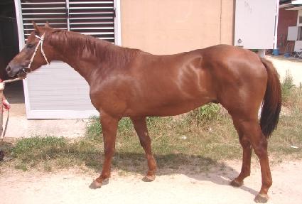 �����ҷ����� ����