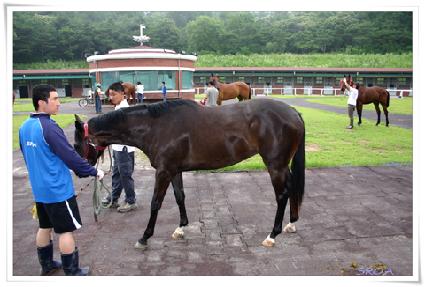 ���� ����