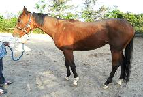 �츲 (URIM) ����