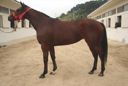 �ƶ�̸� ����