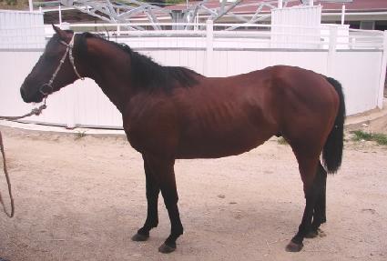 ȭ������ ����