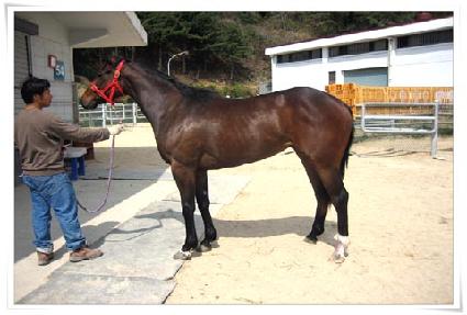 �������� ����