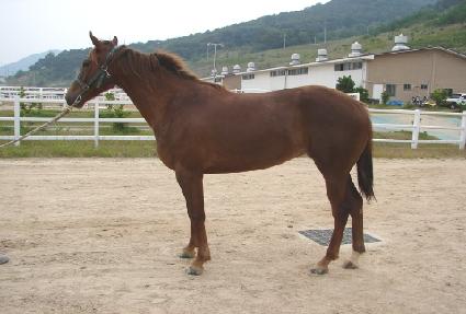 �ȵ��ְ� ����