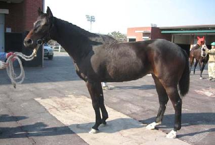 �ݺ��� ����