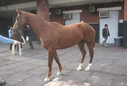 ī�ÿ���� ����