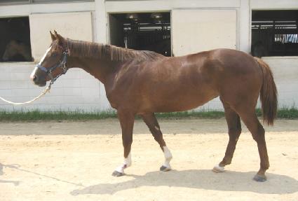 �ް��������� ����