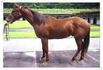 �������� (GASOK JEONSEOL) ����