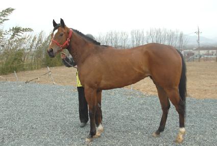 �������� ����