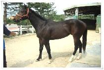 ��õ (MOKCHEON) ����