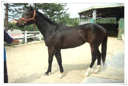 ��õ ����