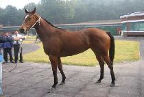 �������� (MEOTJIN BOBAE) ����