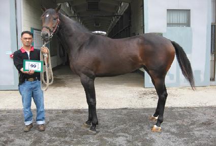 ��ռ� ����