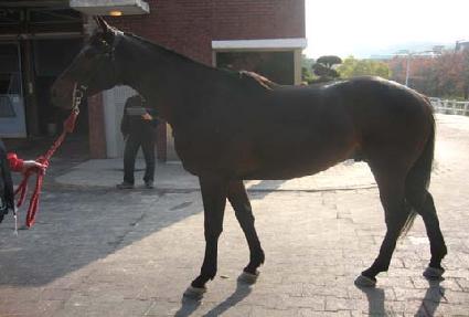 ����ȯȣ ����