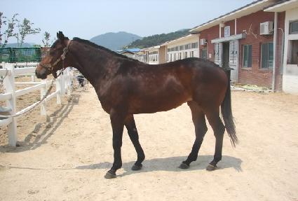 ǳ���� ����