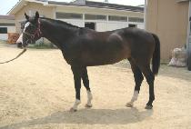 �������¾� (WIDAEHAN TAEYANG) ����