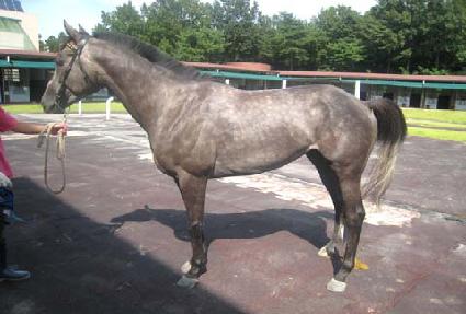 ���浵 ����